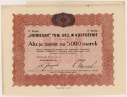 HOMOSAN Tow. Akc. w Kostrzynie, Em.5, 5.000 mkp 1923