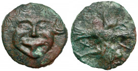 Greece, Olbia, AE67 - Facing Gorgoneion - Extremely rare!