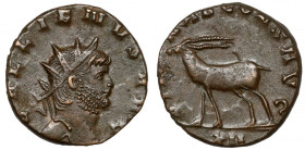 Gallienus (258-268 AD) Antoninian, Rome - oryx antelope