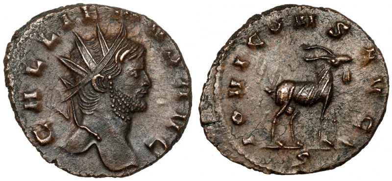 Gallienus (258-268 AD) Antoninian, Rome - goat Obverse: GALLIENVS AVG Radiate bu...