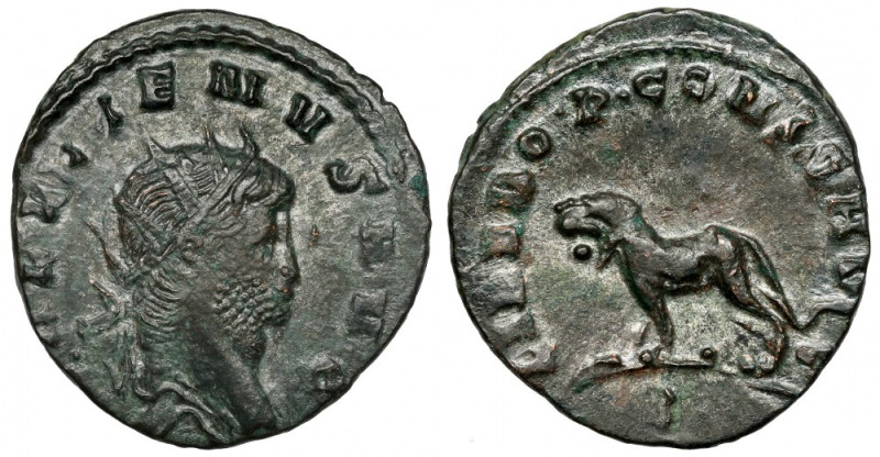 Gallienus (258-268 AD) Antoninian, Rome - male panther Obverse: GALLIENVS AVG Ra...