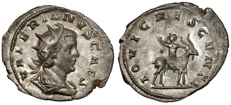 Valerian II (253-257 AD) Antoninian, Cologne Obverse: GALLIENVS PF AVG Radiate, ...