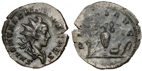 Saloninus (258-260 AD) Antoninian, Cologne - rare R