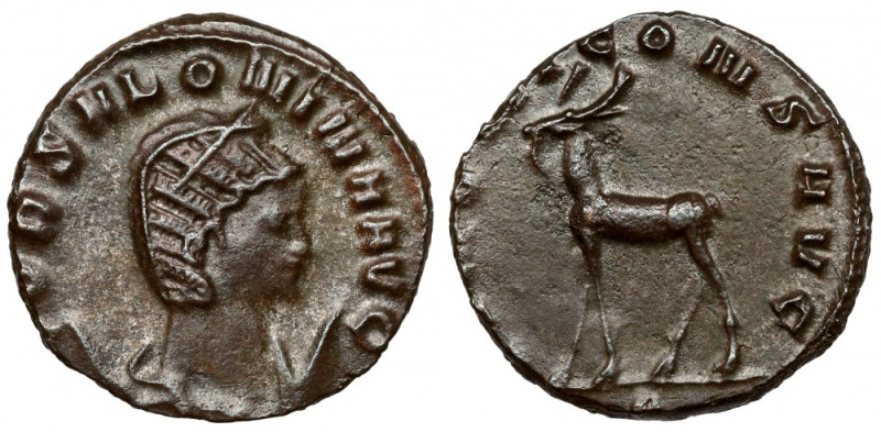 Salonina (253-268 AD) Antoninian, Rome - antelope Obverse: COR SALONINA AVG Drap...