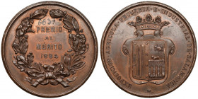 Hiszpania, Medal, Exposicion Agricola... de Salamanca / Premio al Merito 1884