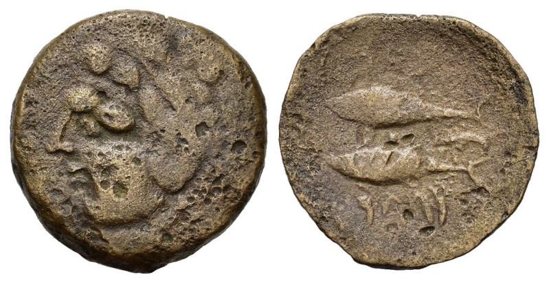 Spain, Gades, c. 2nd-1st century BC. Æ (25,97 mm, 9,04 g). Head of Herakles-Melq...
