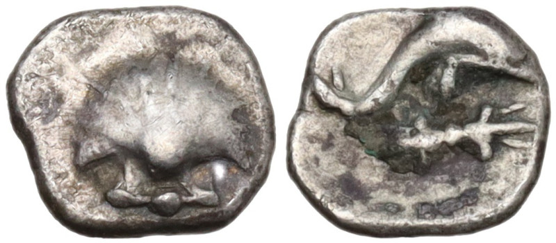 Southern Apulia, Tarentum, c. 325-380 BC. AR Litra (6,3 mm, 0,31 g). Cockle shel...