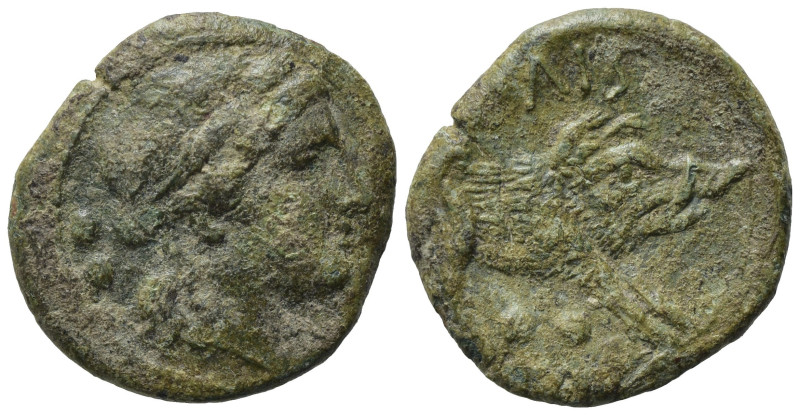 Northern Lucania, Paestum, c. 218-201 BC, Æ Sextans (17,10 mm, 2,42 g). Head of ...
