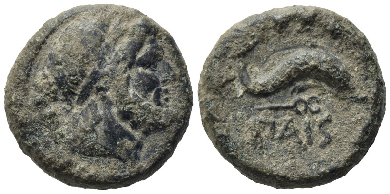 Lucania, Paestum, c. 218-201 BC. Æ Quadrans (16,70 mm, 4,62 g). Diademed male he...