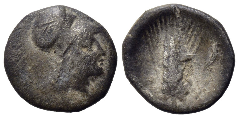 Southern Lucania, Metapontion, c. 325-275 BC. AR Diobol (11, 75 mm, 1,00 g). Hel...