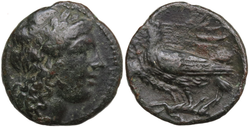 Sicily, Akragas, c. 275-240 BC. Æ (18,5 mm, 4,8 g). Laureate head of Apollo r. R...