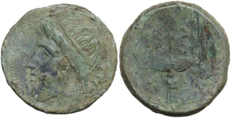 Sicily, Syracuse, Hieron II (275-215). Æ (22 mm, 8,6 g), c. 263-218 BC. Head of ...