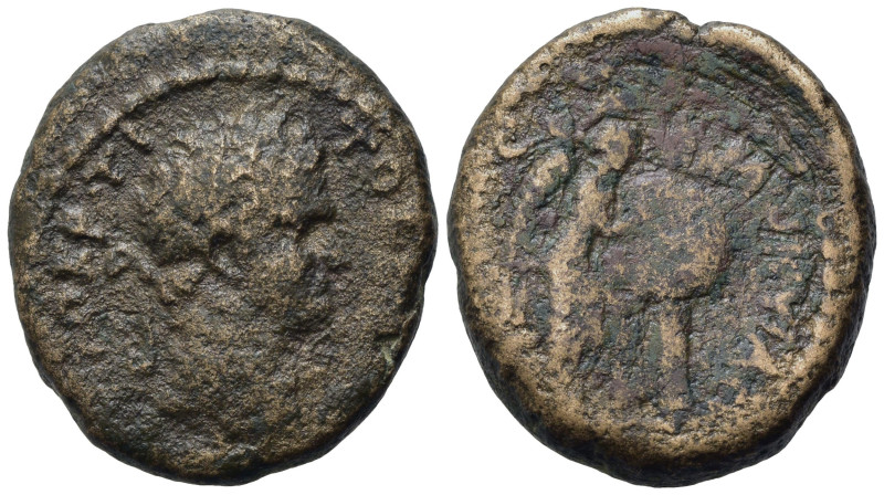 Judaea, Caesarea Maritima. Titus (Caesar, 69-79). Æ (21,50 mm, 7,80 g). Laureate...