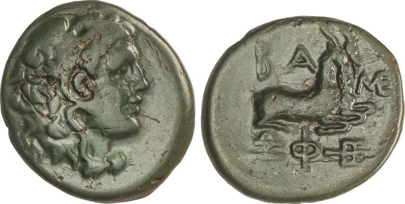 AE 22. 221-179 a.C. FILIPO V. MACEDONIA. Anv.: Cabeza de Hércules con tocado de ...