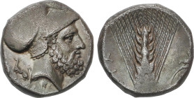 Estátera. 340-330 a.C. METAPONTO. LUCANIA. Anv.: Cabeza barbada de Leukippos a derecha, con casco corintio; perro sentado a izquierda. Rev.: Espiga ve...