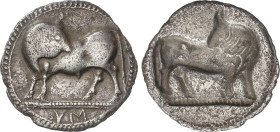 Estátera. 530-510 a.C. SYBARIS. LUCANIA. Anv.: Toro de pie a izquierda, cabeza a derecha; VM en exergo. Rev.: Incuso. 7,36 grs. AR. (Pequeñas oxidacio...