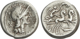 Denario. 115-114 a.C. CIPIA. M. Cipius M. f. Anv.: Cabeza de Roma a derecha M. (CIPI. M.F.) detrás X. Rev.: Victoria con palma en biga a derecha, deba...