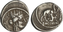 Denario. 55 a.C. PLAUTIA. A. Plautius. Anv.: Cabeza de Cibeles a derecha. A. PLA(VTIVS) AED CVR S.C. Rev.: Bacchius de rodillas sosteniendo un camello...