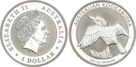 1 Dollar. 2011-P. 31,88 grs. AR. Kookaburra en tocón con las alas extendidas a izquierda. PROOF.