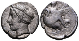 SICILY. Kamarina. Circa 415-405 BC. Didrachm (Silver, 22 mm, 8.04 g, 12 h). KAMAPINAIO-N Horned head of young river god Hipparis to left, wearing tain...