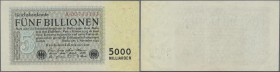 Deutschland - Deutsches Reich bis 1945: 5 Billionen Reichsmark 1923 Ro 127a, mit leichter Mittelfalte und leichten Gebrauchsspuren, festem Papier und ...