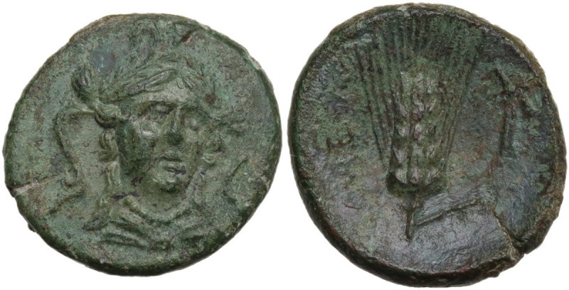 Greek Italy. Southern Lucania, Metapontum. AE 18 mm, c. 300-250 BC. Obv. Head of...