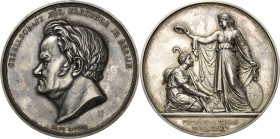 Geowissenschaften
 Silbermedaille o.J. (1879/1881) (K. Schwenzer) Carl-Ritter-Preis der Gesellschaft für Erdkunde in Berlin. Kopf Carl Ritters nach l...