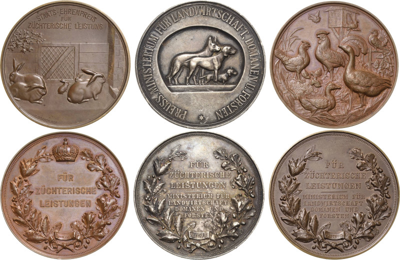 Tiere/Tierzucht
 Silbermedaille o.J. (C. Brasch) Prämie für züchterische Leistu...
