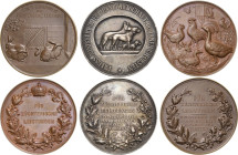 Tiere/Tierzucht
 Silbermedaille o.J. (C. Brasch) Prämie für züchterische Leistungen - verliehen vom preußischen Ministeriums für Landwirtschaft, Domä...