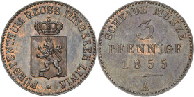 Reuss-Jüngere Linie - Schleiz
Heinrich LXVII. 1854-1867 3 Pfennig 1855, A-Berlin AKS 39 Jaeger 130 Selten. Stempelglanz