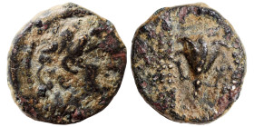 SELEUKID KINGS of SYRIA. Antiochos VIII Epiphanes. 121/0-97/6 BC. Ae (bronze, 1.77 g, 13 mm). Antioch. Diademed head of Antiochus VIII right. Rev. BAΣ...