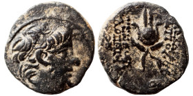 SELEUKID KINGS of SYRIA. Antiochos X Eusebes Philopator, circa 94-88 BC. Ae (bronze, 1.54 g, 14 mm). Uncertain mint. Diademed head right. Rev: ΒΑΣΙΛΕΩ...