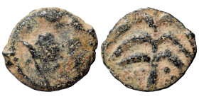 PALMYRENE. Palmyra. Pseudo-autonomous issue, circa 2nd-3rd centuries AD. Ae (bronze, 0.47 g, 11 mm). Turreted head of Tyche right. Rev. Palm tree. De ...