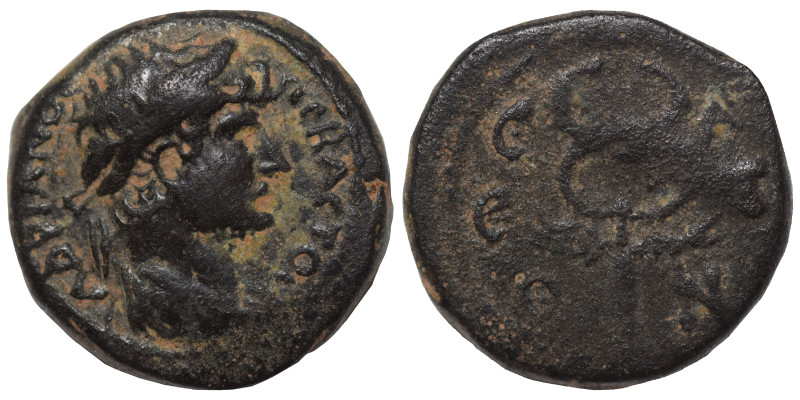 COMMAGENE. Samosata. Hadrian, 117-138. Hemiassarion (bronze, 2.30 g, 14 mm). AΔΡ...