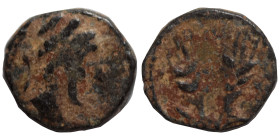 Uncertain. Ae (bronze, 0.69 g, 10 mm). Male head to right. Rev. Two ears of grain. Good fine.