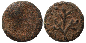 Uncertain. Ae (bronze, 1.83 g, 13 mm). Male head right. Rev. Branch. Fine.
