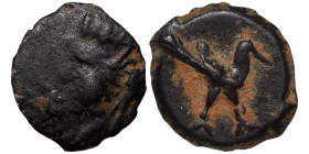 Uncertain. Ae (bronze, 0.82 g, 13 mm). Bust of Tyche left. Rev. Bird standing right. Nearly very fine.