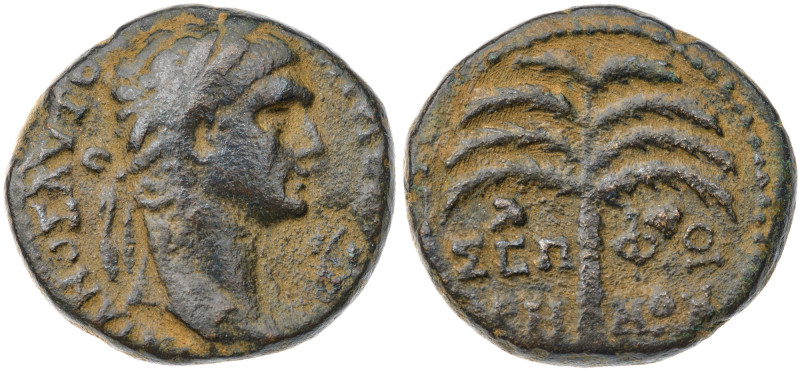 Judaea. Sepphoris (Diocaesarea). Trajan. Bronze Æ (9.4 gr.), AD 98-117. Laureate...