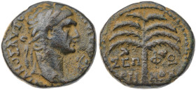 Judaea. Sepphoris (Diocaesarea). Trajan. Bronze Æ (9.4 gr.), AD 98-117. Laureate head right / Palm tree with two clusters of hanging fruit. Sofaer 2; ...