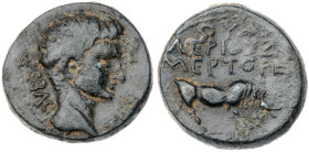 Phrygia. Eumeneia. Tiberius. Bronze Æ (4.7 gr.), AD 14-37. ΣΕΒΑΣΤΟΣ Bare head of Augustus to right / OYAΛEPIOΣ ZMEPTOPIΞ - EYMENEΩ/N Bull butting to r...