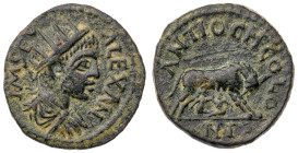 Pisidia. Antioch. Severus Alexander. Bronze Æ (2.5 gr.), AD 222-235. IMP SEV ALEXAN Radiate head right / ANTIOCH COLO NI Lupa Romana standing right, h...