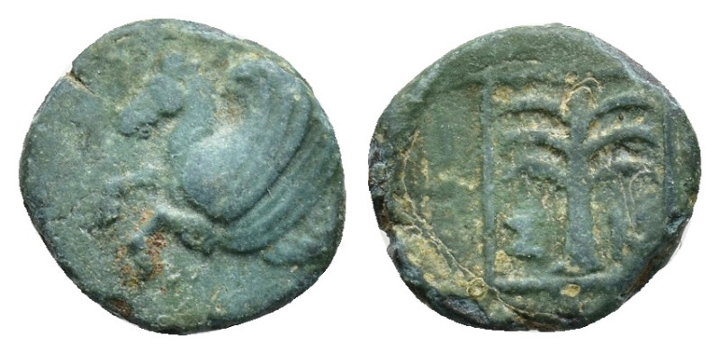 TROAS, Skepsis. Circa 350-310 BC. Æ 0,83g