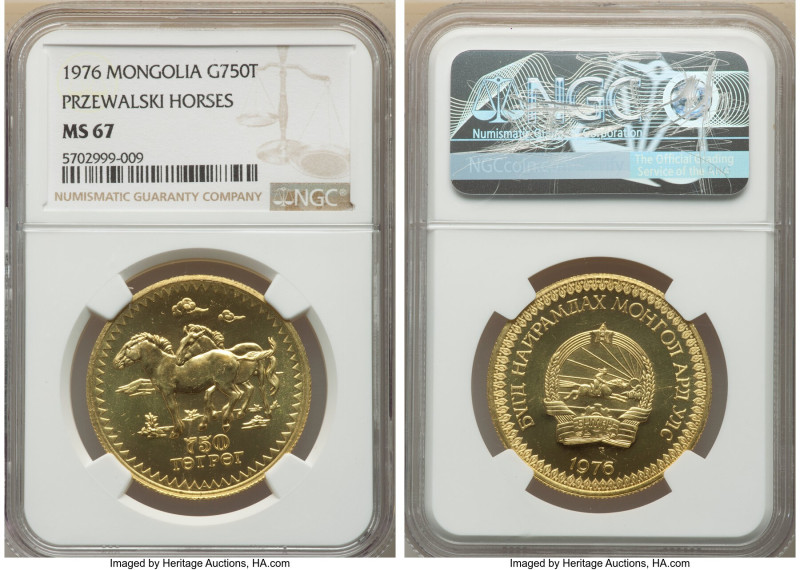 Republic gold "Przewalski Horses" 750 Tugrik 1976 MS67 NGC, Llantrisant mint, KM...