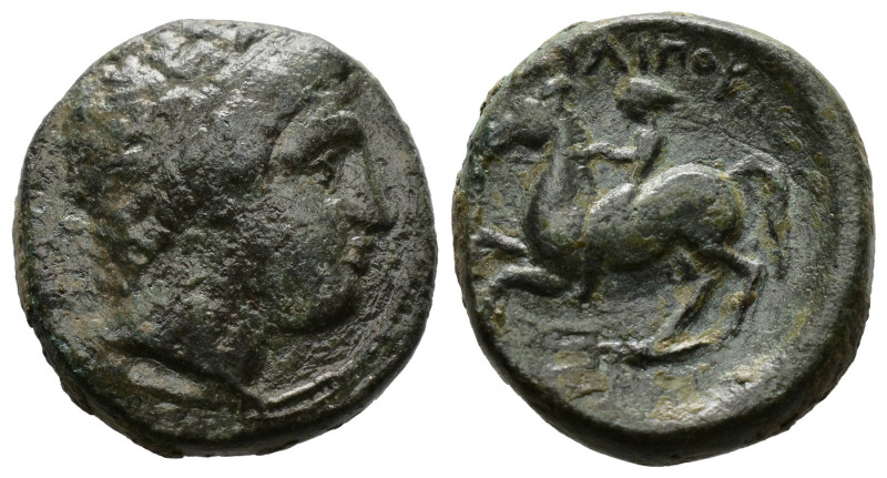 Kingdom of Macedon, Philip II. Uncertain mint in Macedon, 359-336 BC. AE. 
 Head...