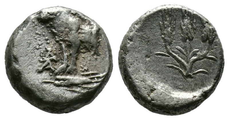 BITHYNIA. Kalchedon. Circa 387/6-340 BC. Hemidrachm 
Forepart of a bull standing...