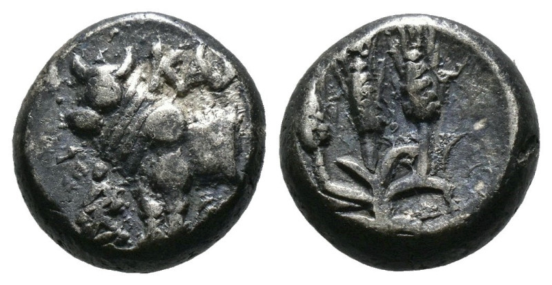 BITHYNIA. Kalchedon. Circa 387/6-340 BC. Hemidrachm 
Forepart of a bull standing...