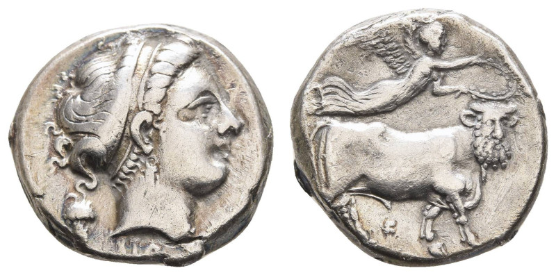 Griechen Campania
Neapolis AR Didrachme 320-300 v.u.Z. Av.: Nymphenkopf nach re...