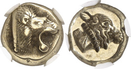 LE MONDE GREC
Lesbos
Mytilène. Hecté d'électrum vers 500-495 av. J.-C. Tête de lion à droite, la gueule ouverte / Tête incuse de veau à droite. 5,22...