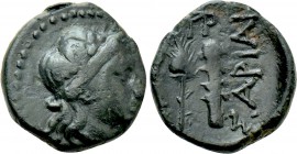 KINGS OF SKYTHIA. Sariakes (Circa 180-168/7 BC). Ae.