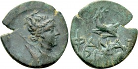 CIMMERIAN BOSPOROS. Phanagoria. Ae Tetrachalkon (Circa 105-90 or 95-86 BC). Struck under Mithradates VI Eupator.